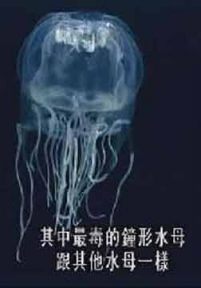 毒性大发：索命九法