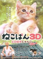 小猫跳出来3D